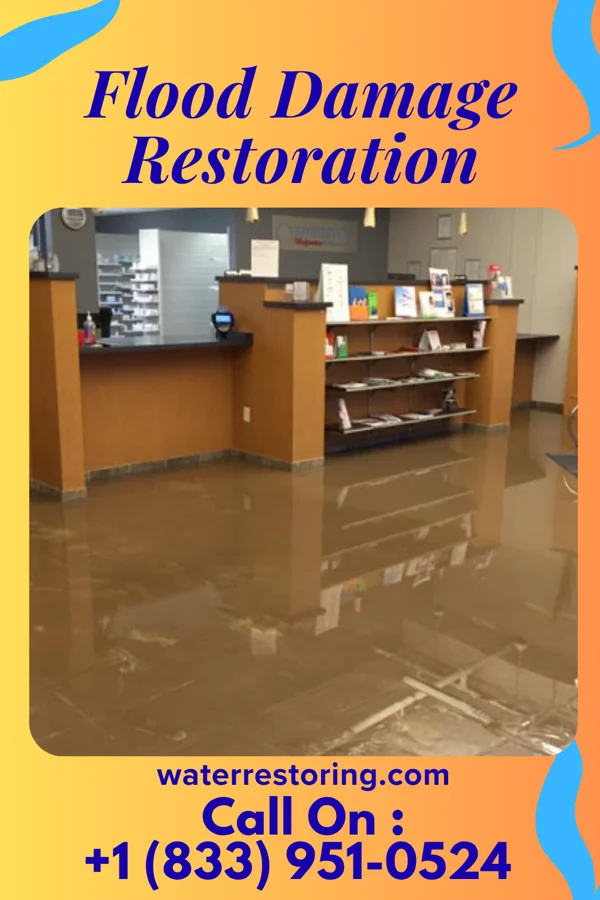 Flood Damage Restoration in Duck, NC