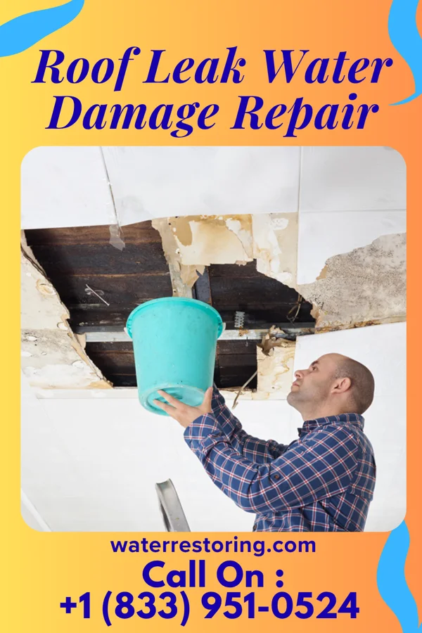 Roof Leak Water Damage Repair in Duck, NC
