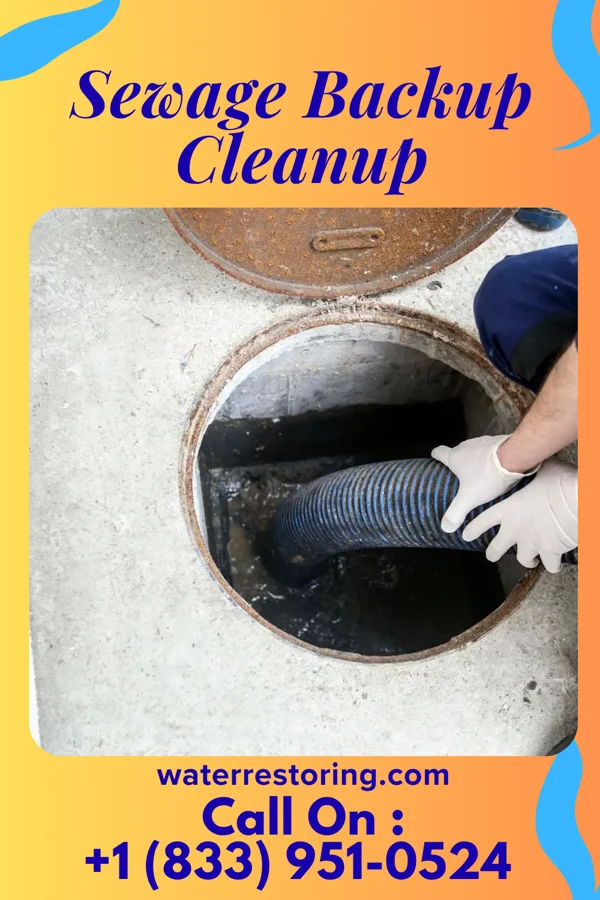 Sewage Backup Cleanup in Duck, NC